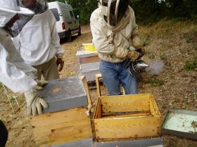 photo coins arrondis